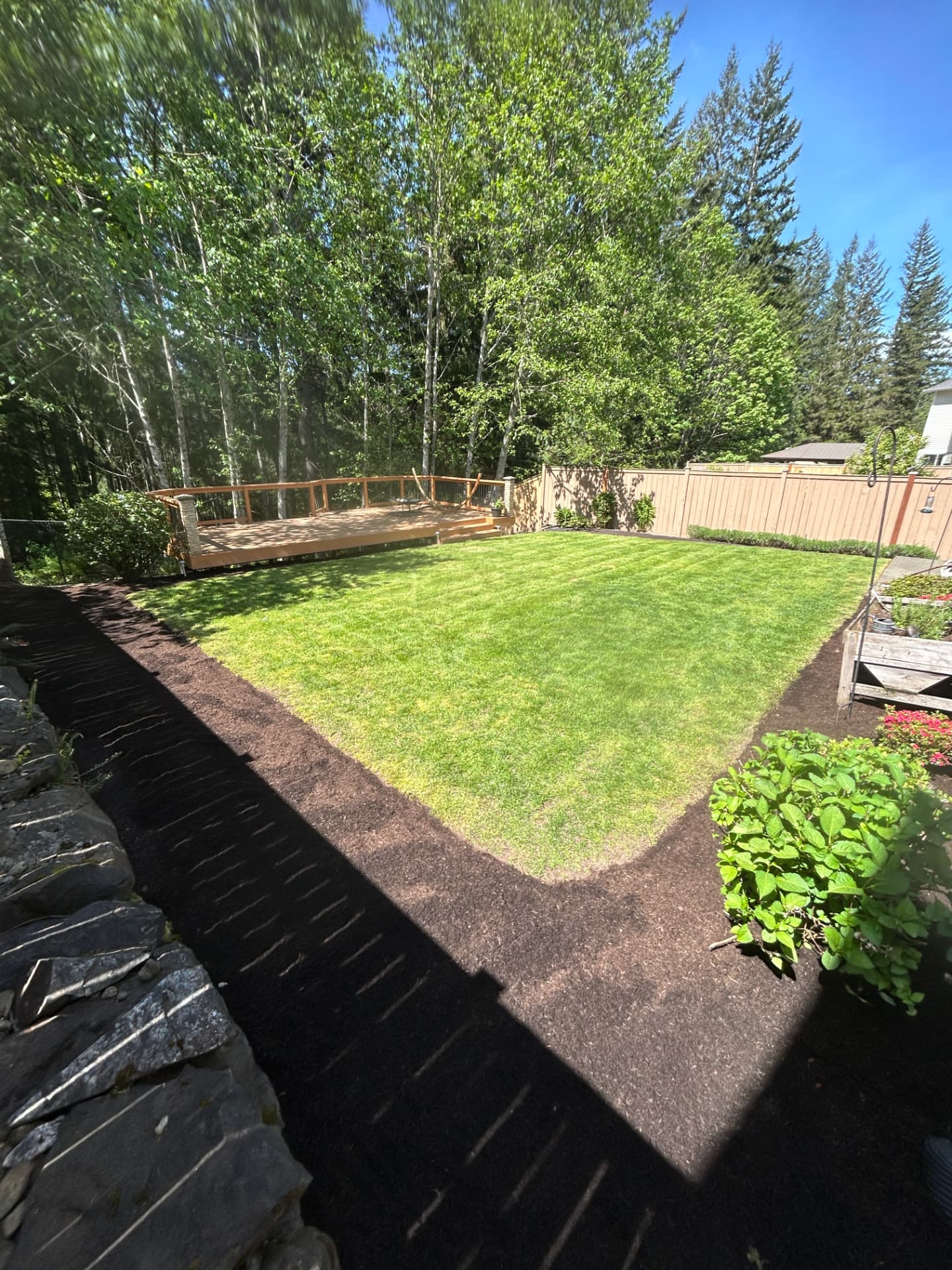 Green striped lawn with fresh mulch beds after service